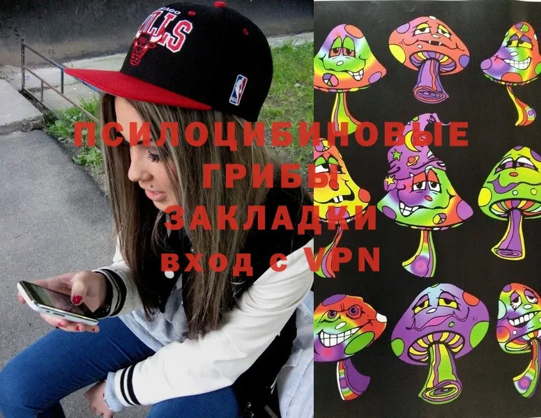 маркетплейс какой сайт  Каменск-Уральский  Псилоцибиновые грибы Magic Shrooms 